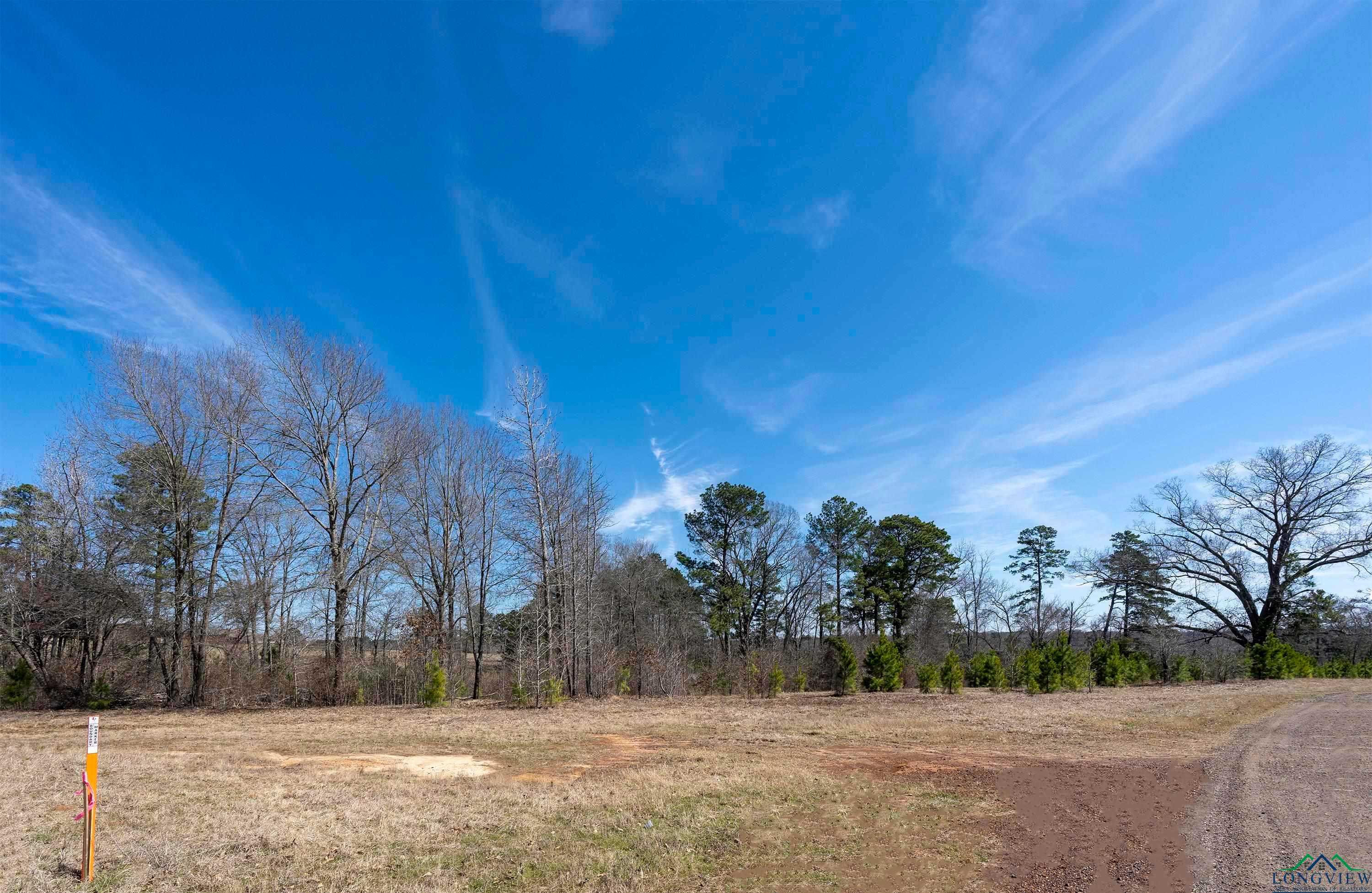 Clydesdale Ct., 20221199, Longview, Lot,  for sale, Dona  Willett, Summers Cook & CO.